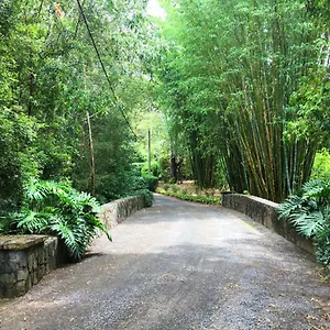Mango Hill Farm , Peachester Australia